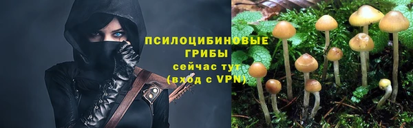 соль курить ск Алзамай