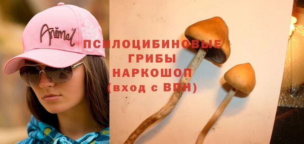 скорость Алексин