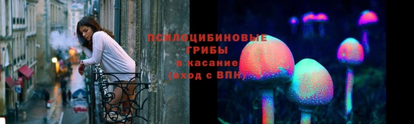 бошки Алексеевка
