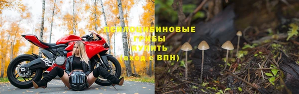 бошки Алексеевка